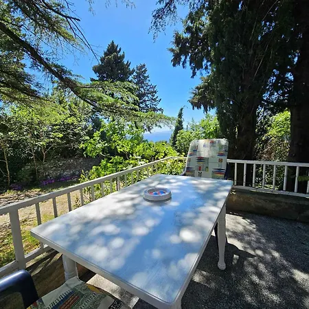 Appartamento In 34409 *